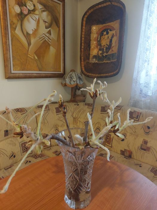 Чисто нова Количка за инструменти Scheppach TW1150 /  цена в лева