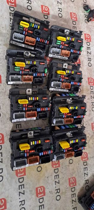 Panou sigurante BSM R09 cod: 9667199780 Peugeot / Citroen