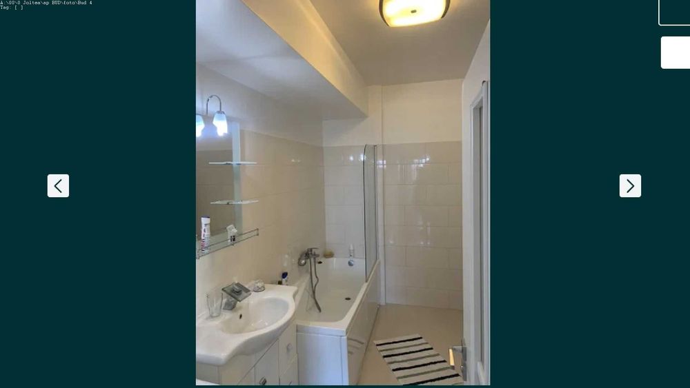 Chirie apartament Shopping Plaza 500E