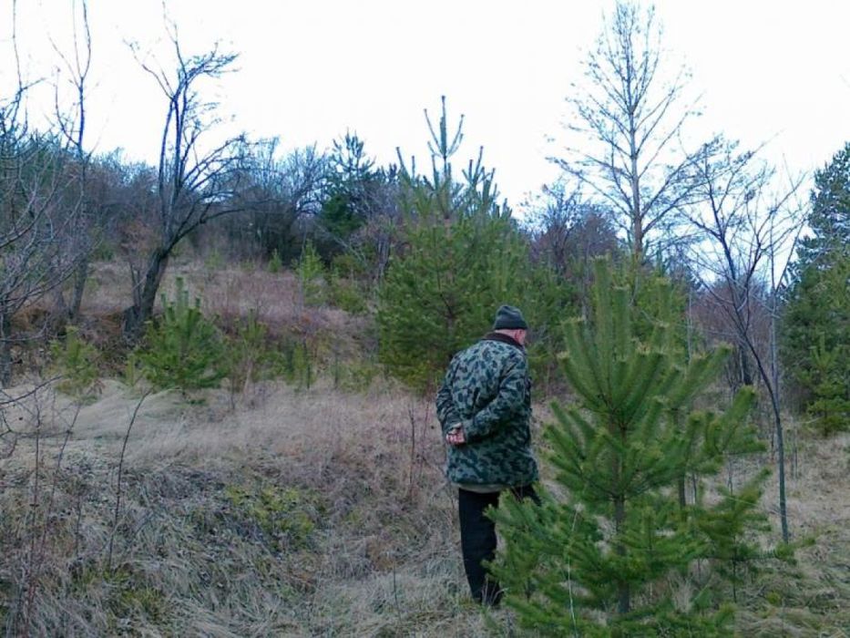 Продава се Парцел в с. Горна Диканя, Област Перник - 1000 кв.м за 11 €/кв.м - Снимка #3