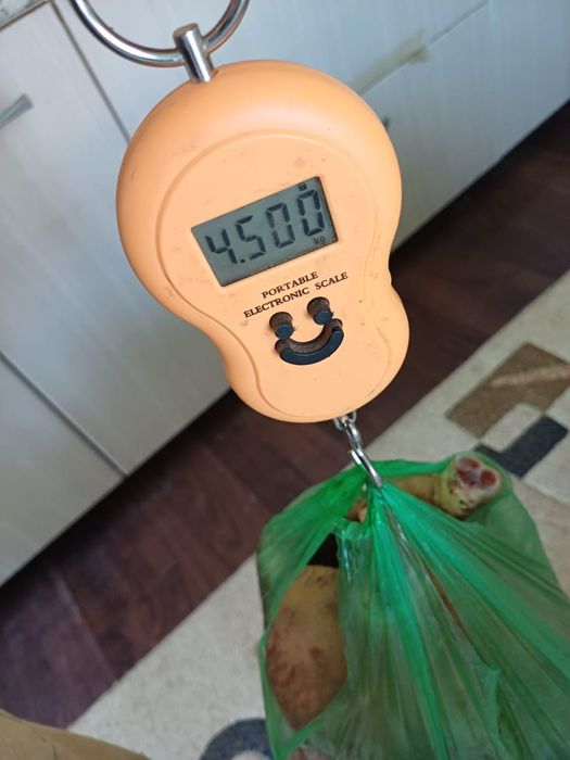 Продам бройлеров
