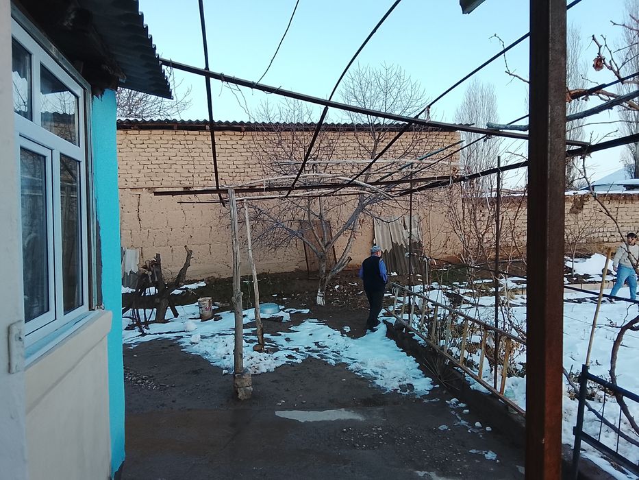 Srochna kotta xovlimiza sotilvotdi