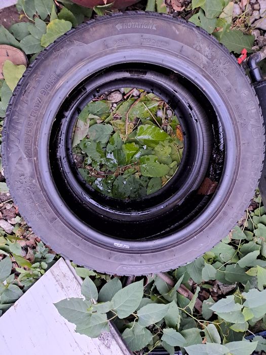 Vand cauciucuri Forward Safari 33x12,5 R15 si altele conform anuntului