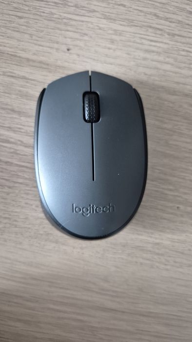 Mouse wireless Logitech M170