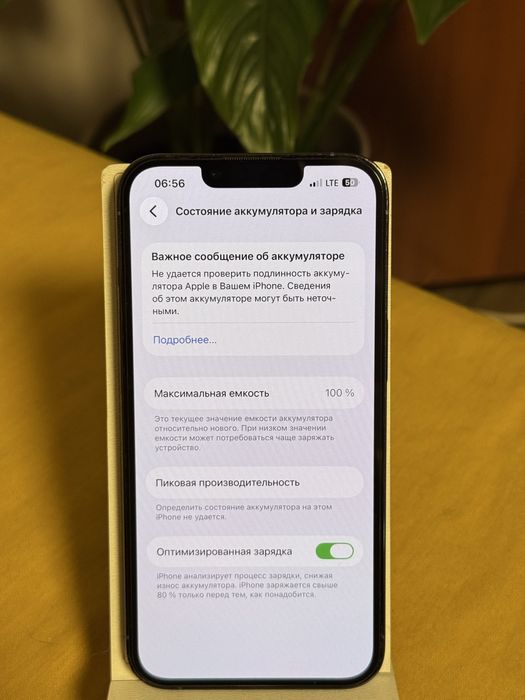 Iphone 13 pro емкость 100