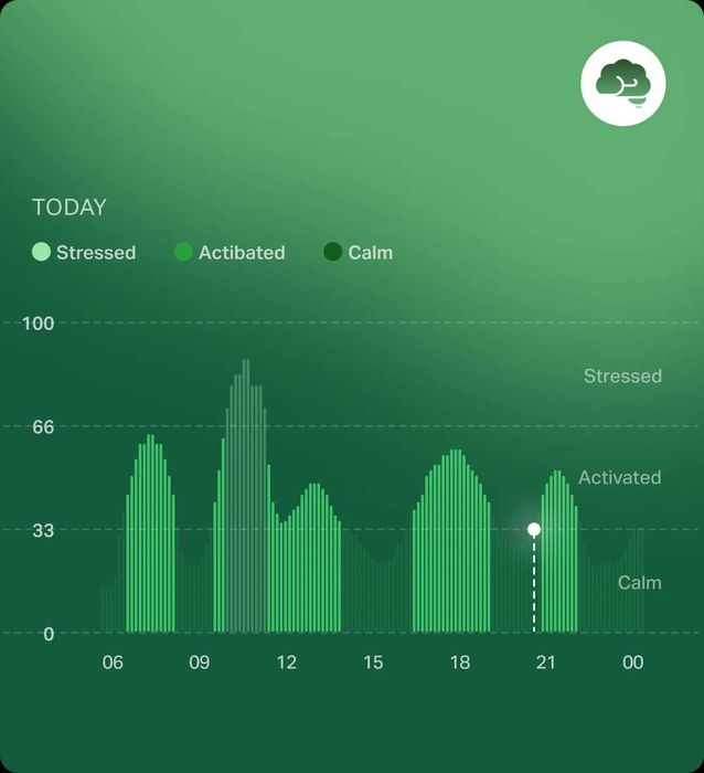 Vand Inel Smartring Fitness Cudis Model 002, Silver Wearable