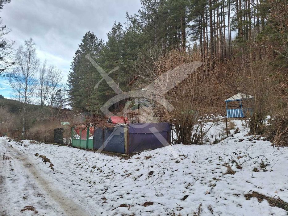 Парцел в село Царичина № 97986