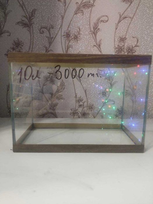 аквариум 10 литров