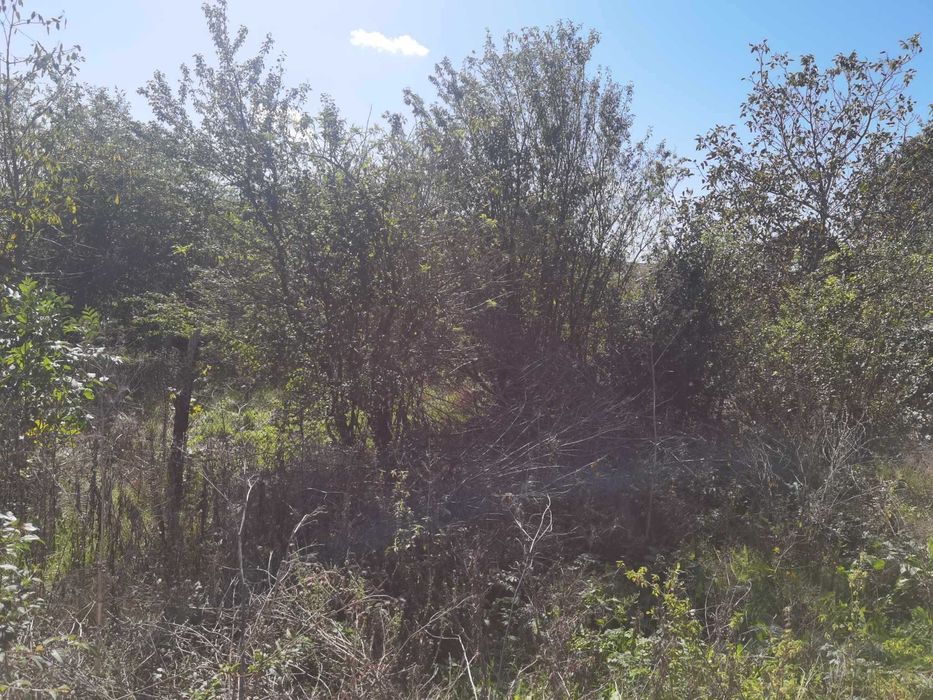 Продава се Къща в с. Божурово, Област Добрич - 120 кв.м за 77 €/кв.м - Снимка #12