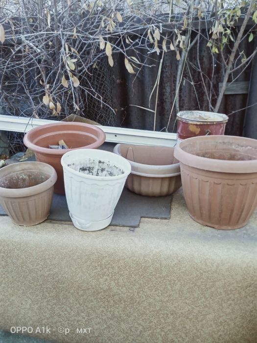Горшки разные для цветов