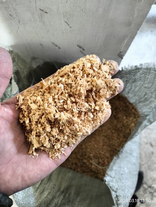 опилка 1 капшык 500тг