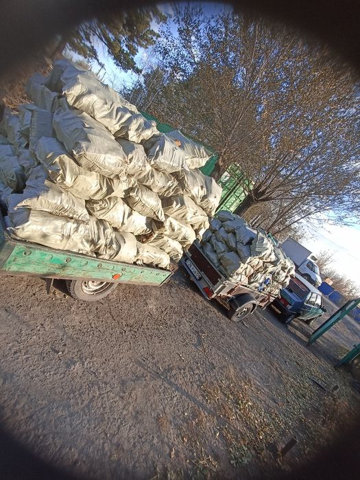 Дрова сухие  рубленые