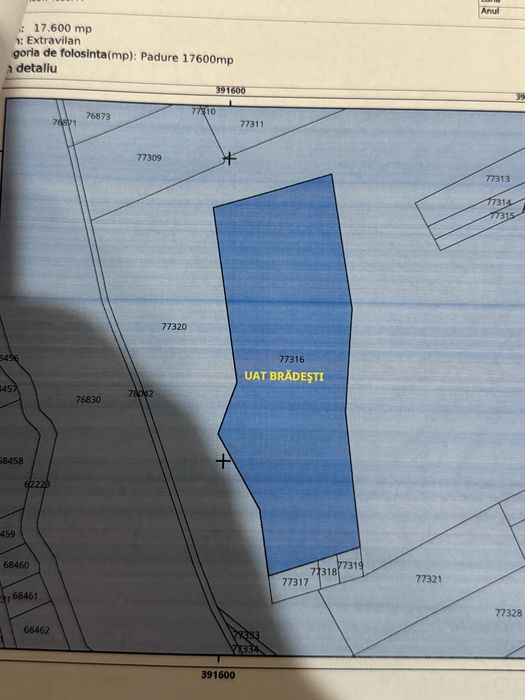 vand  17600 mp teren cu padure