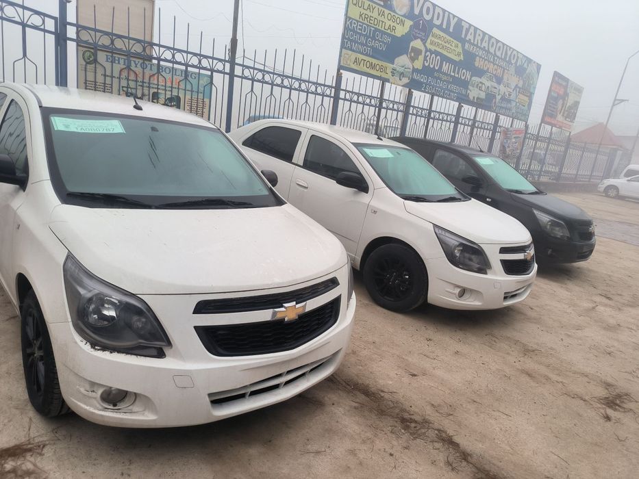 Кобалт термиздан салондан уйгача