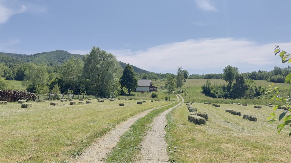 Cabana cu ciubăr la munte
