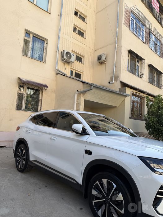 Byd Champion Smart