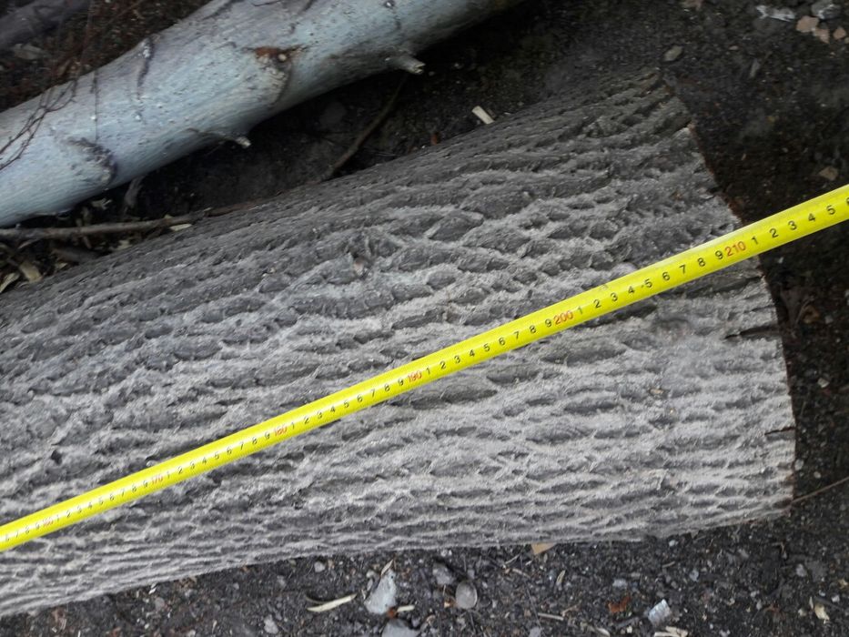 Продам дерево орех на спил