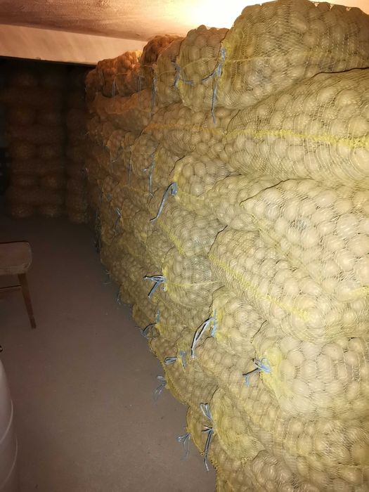 Картоф за семе и консумация (Сорая)