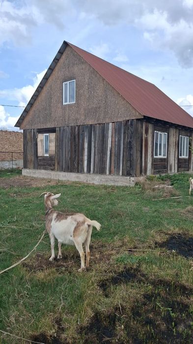 Жилой дом с мансардой ( Үй мансардымен)