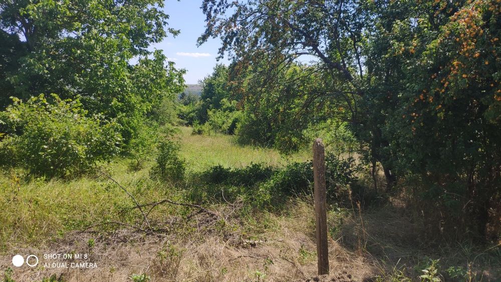 Продава се Парцел в Варна, м-т Пчелина - 969 кв.м за 11 €/кв.м - Снимка #1