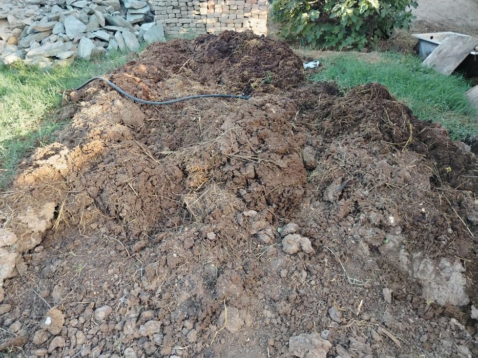 Mol nurisi sotiladi