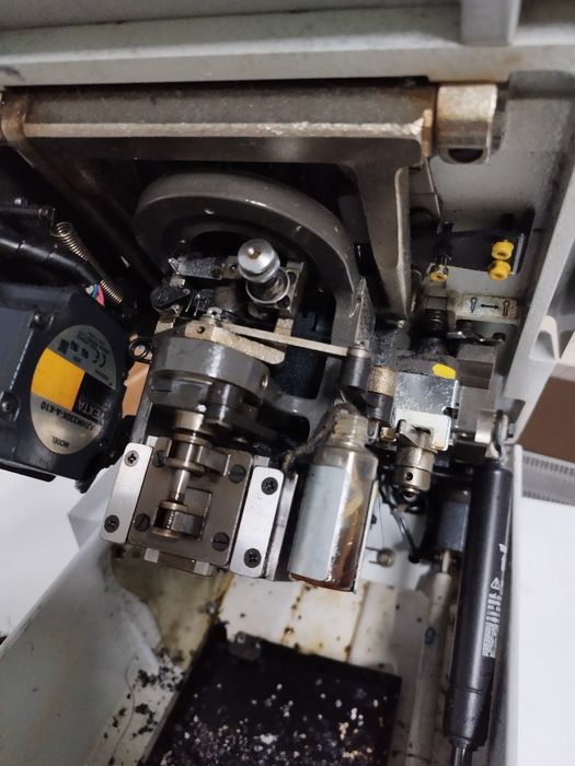 Илик око с опашка