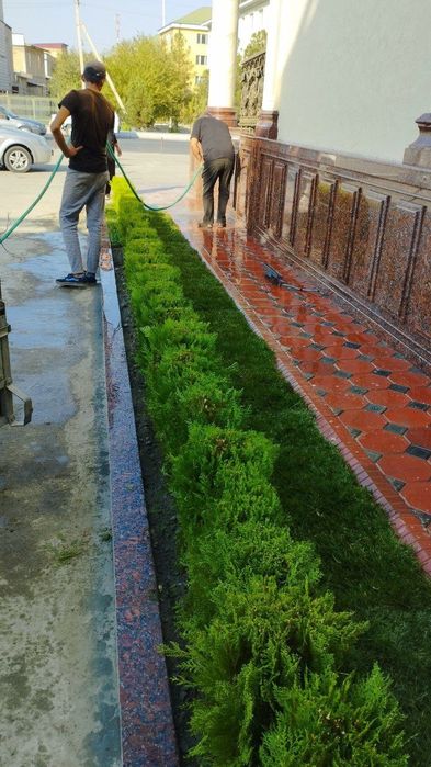 Газон экиш ва ландшафт хизматилари