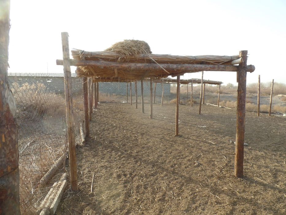 Fermer xojaligi satiladi