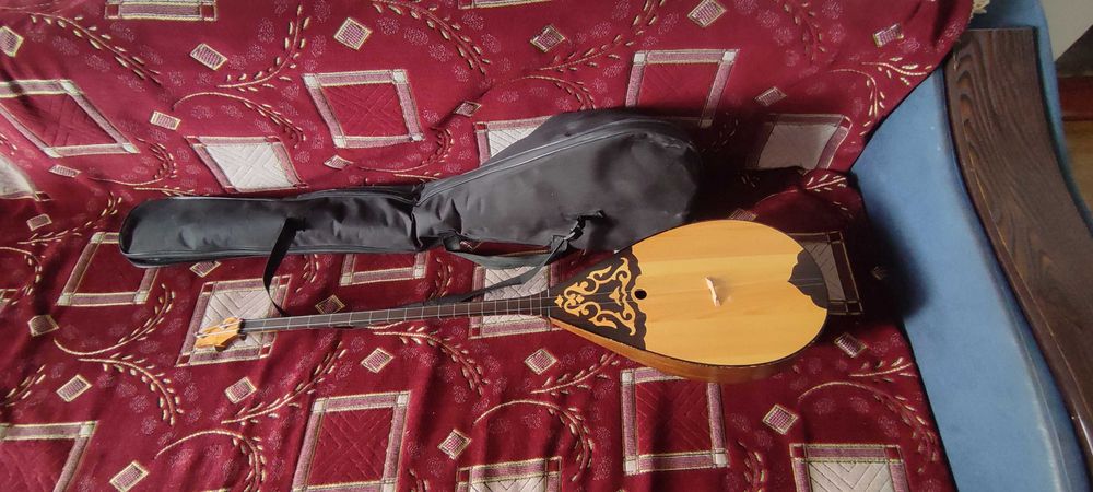 Домбыра чехолмен.