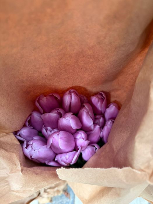 Тюльпаны оптом розница