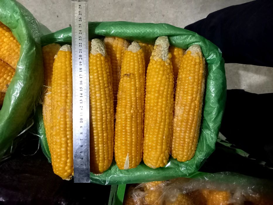 Замороженная  Сладкая кукуруза сорт мегатон