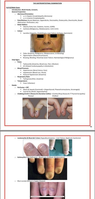 Anatomie, medicina - examene clinice, evaluarea pacientului, consult