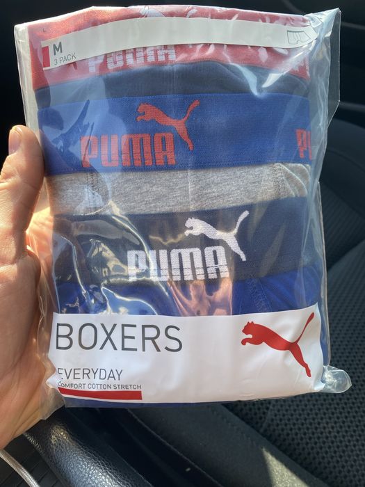 Boxeri barbati, Puma