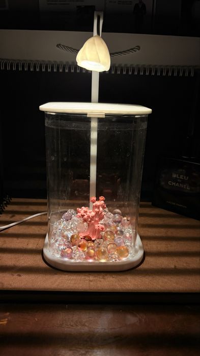 MOON & FISH  Аквариумы + рибки