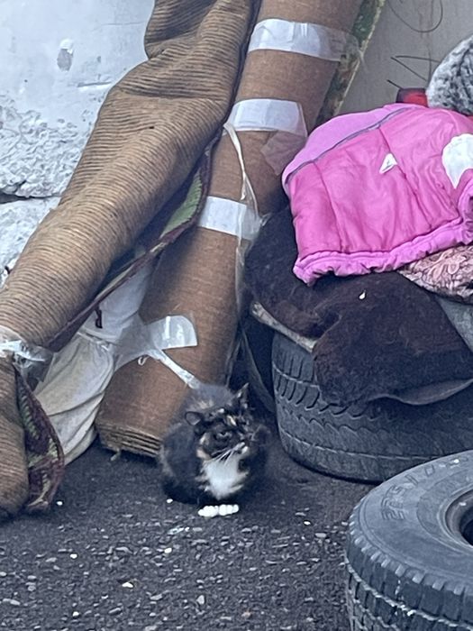 Айрис надеется снова жить дома