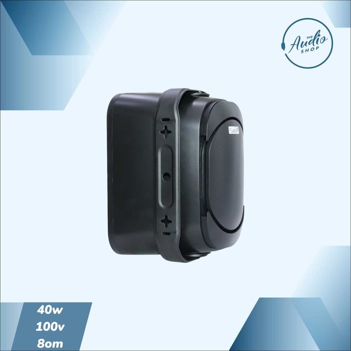 Пассивная всепогодная настенная колонка 40w