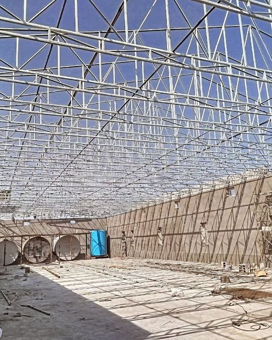 Tom va naves hizmatlari