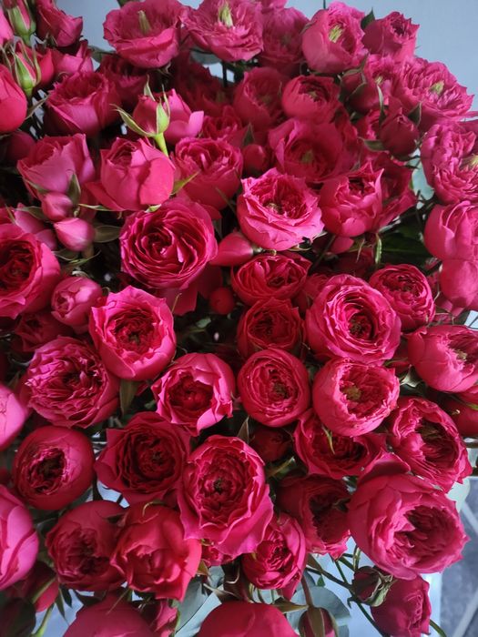 101 роза салынған корзинка