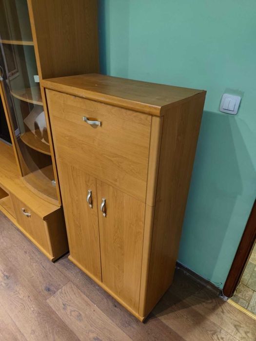 Секция 220х210 см + скрин 67 см