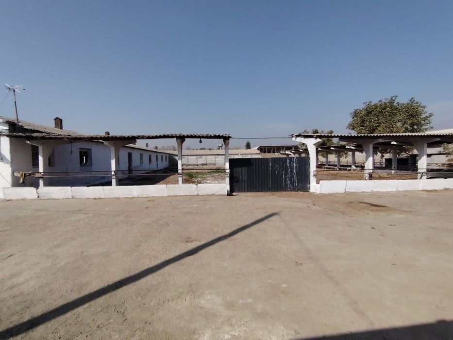 Ferma 50 sotixlik sotiladi