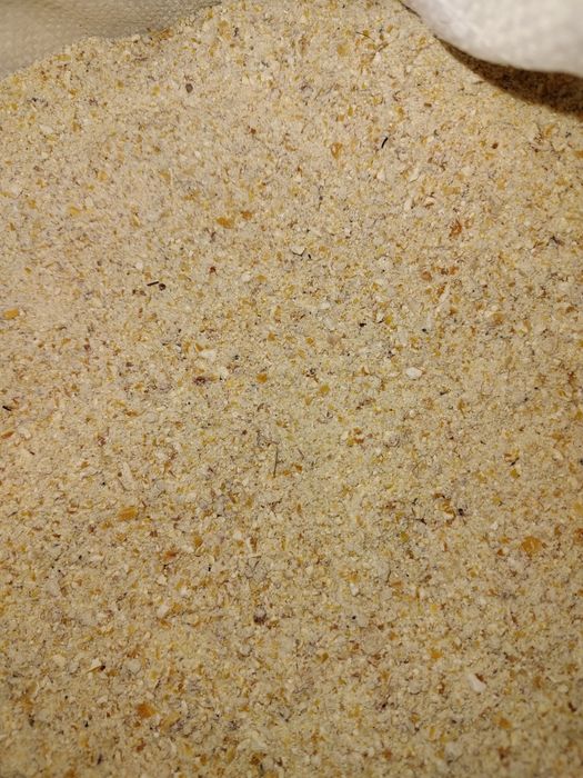 Făină de porumb boabe foarte bine uscată