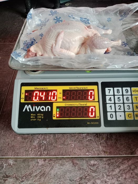 Яйцо перепелиные оптом