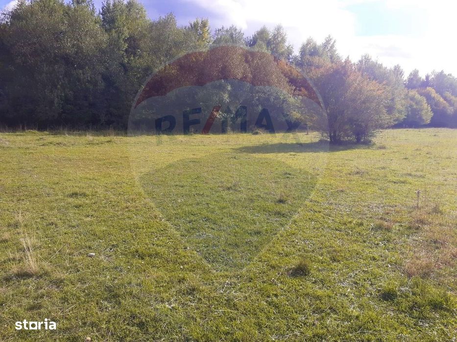 Teren extravilan Rasnov , Glajerie-Str Poiana velicanului, 1100mp