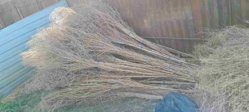 Xovli supurgi 11000 dan kami bor