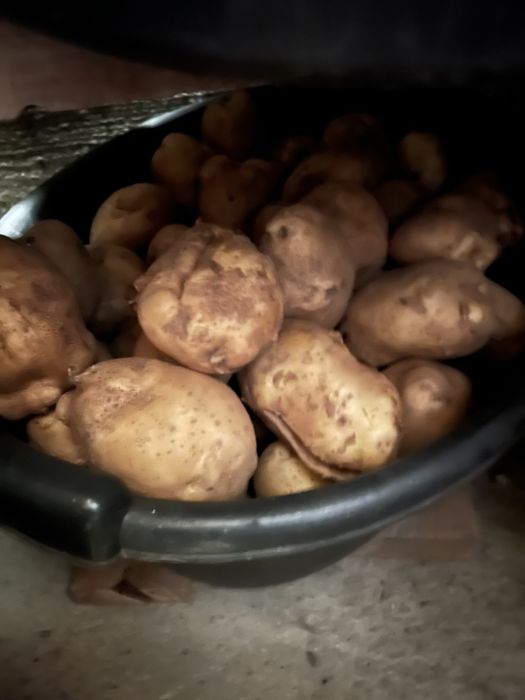 Продам картошку желтую