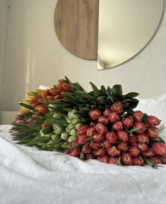 Астана тюльпаны цветы