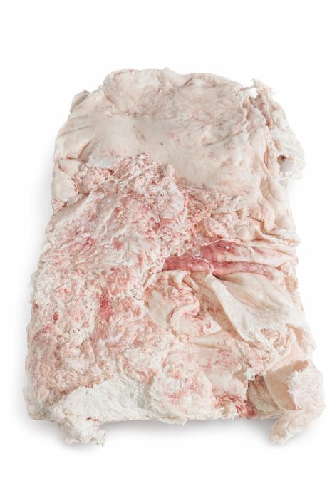 Говяжий жыр В брикетах