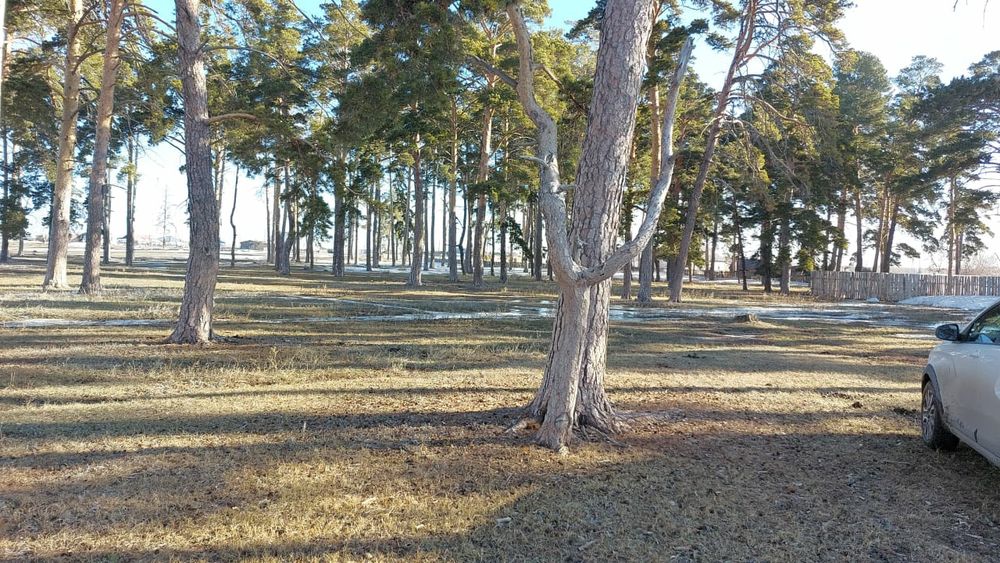 Продам участок 50 соток