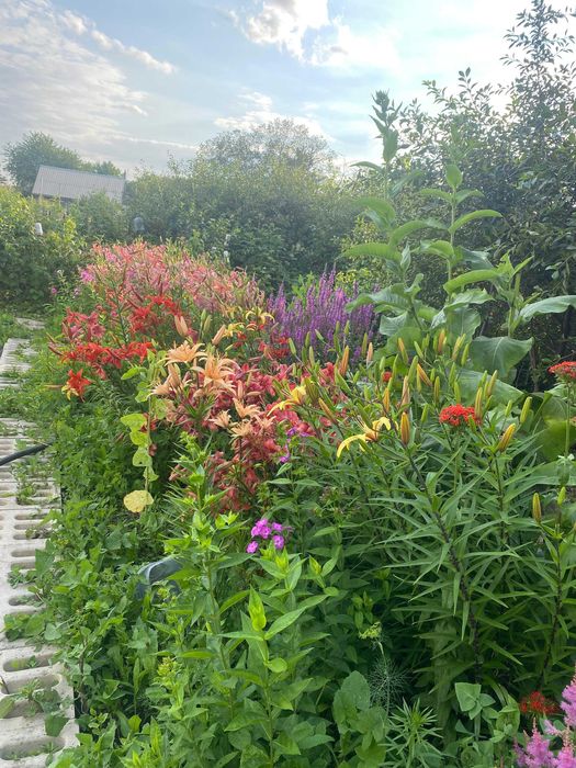 Просторная дача, район Федоровки