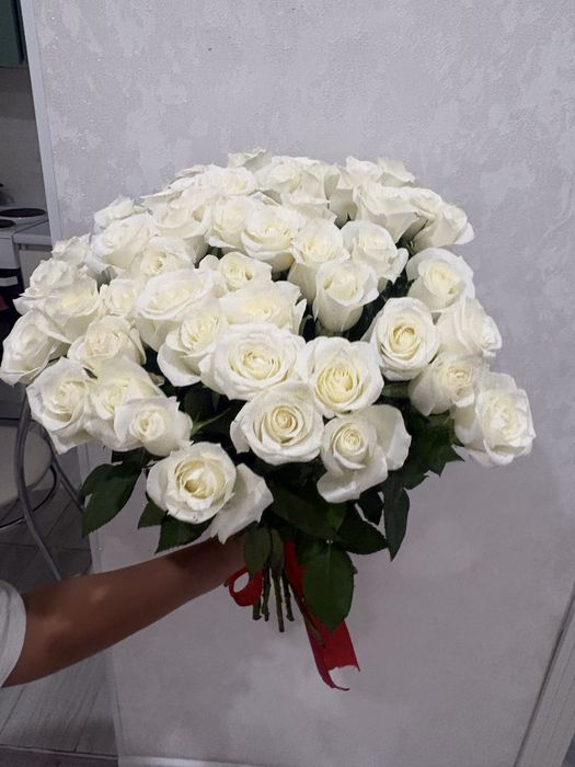 продам 51 белый роза